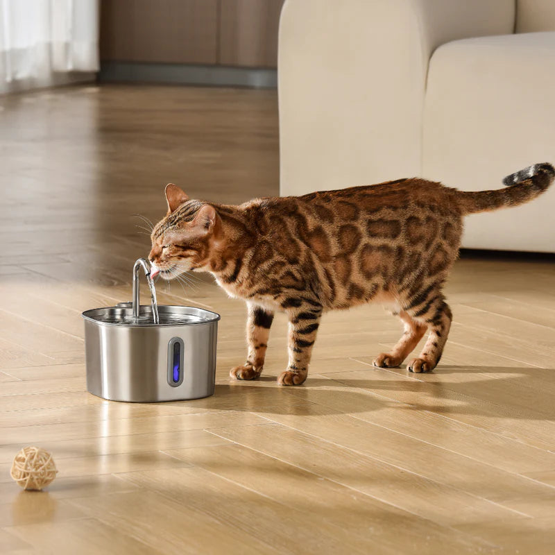 Stainless Steel Cat Water Fountain