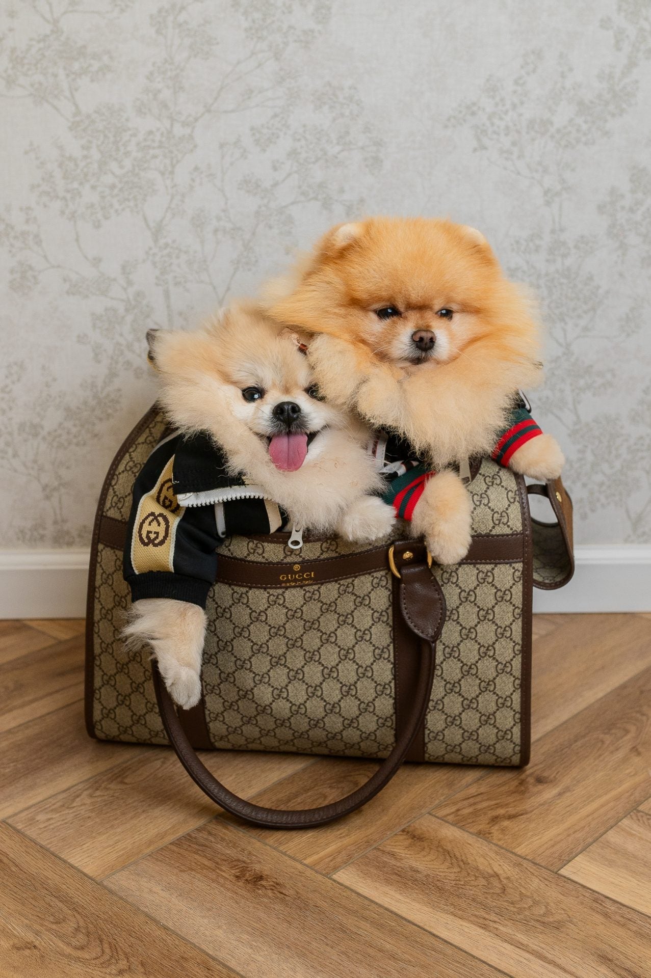 GG Trendy Posh Bag