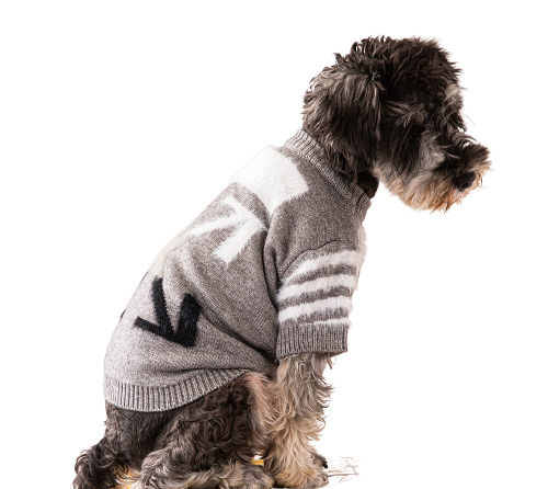 Offdog Lit Pullover