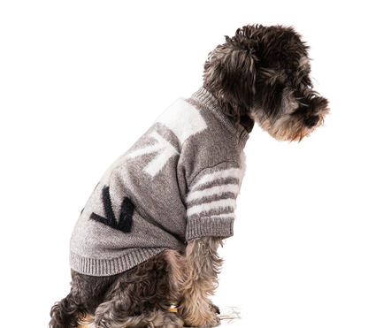 Offdog Lit Pullover