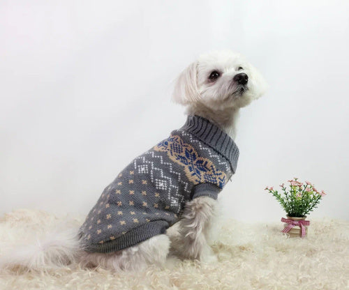 Julina Knit Fancy Sweater