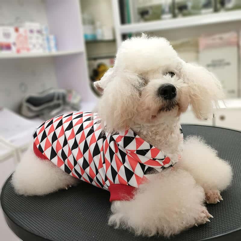 Winter Autumn Pet Whimsical Hoodies