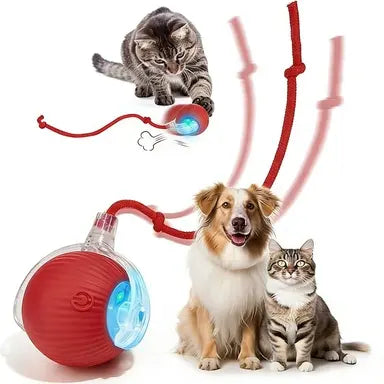 CozyDogo™ Self-Moving Ball Toy