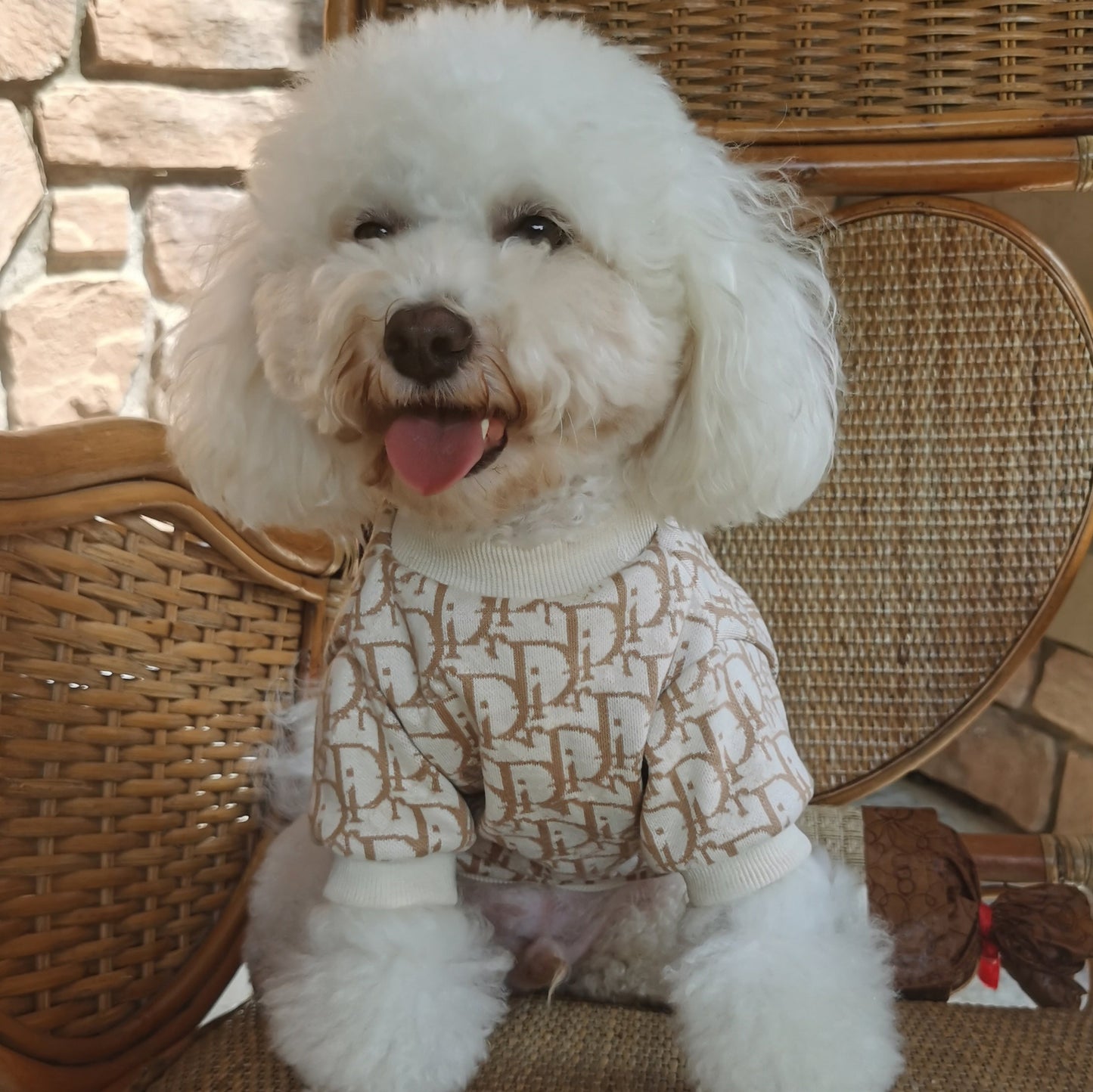 Big Dog DD Snuggle Knit Sweater