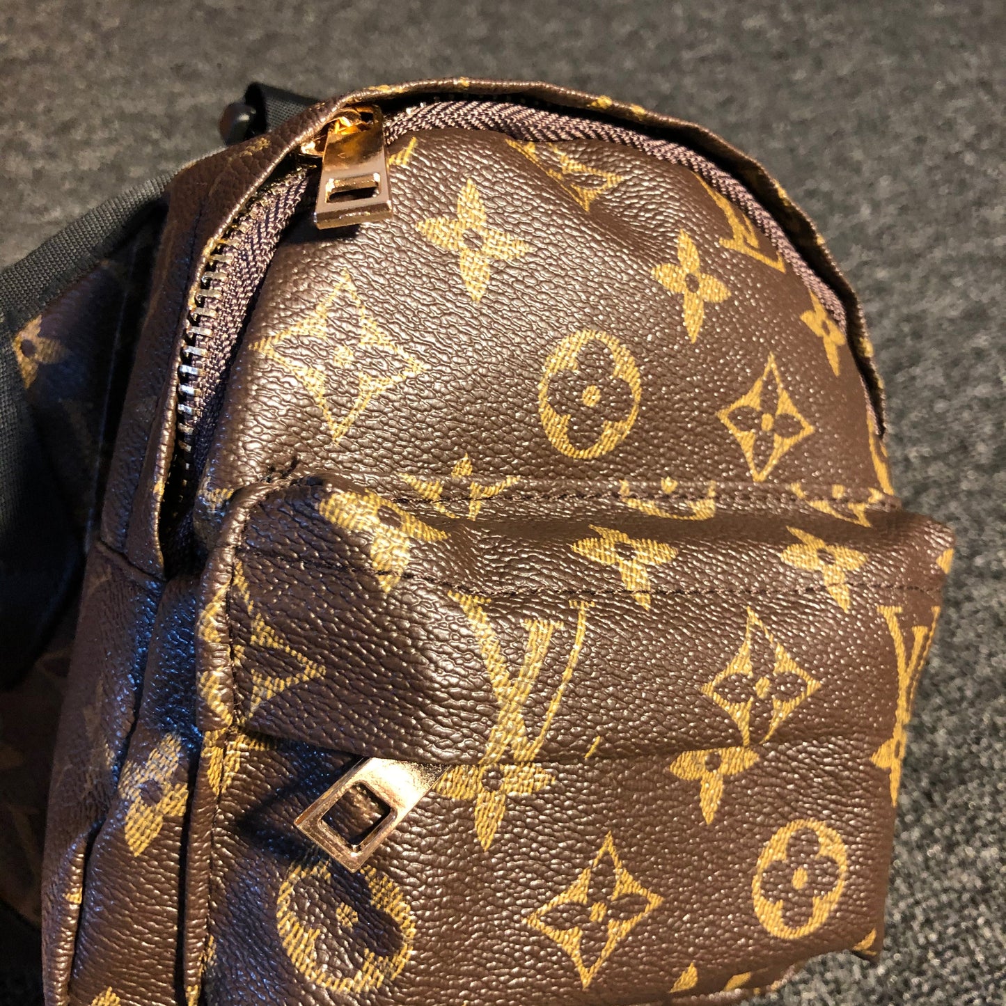 Pet Posh Bag
