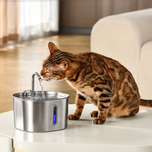 CAT WATER FOUNTAIN