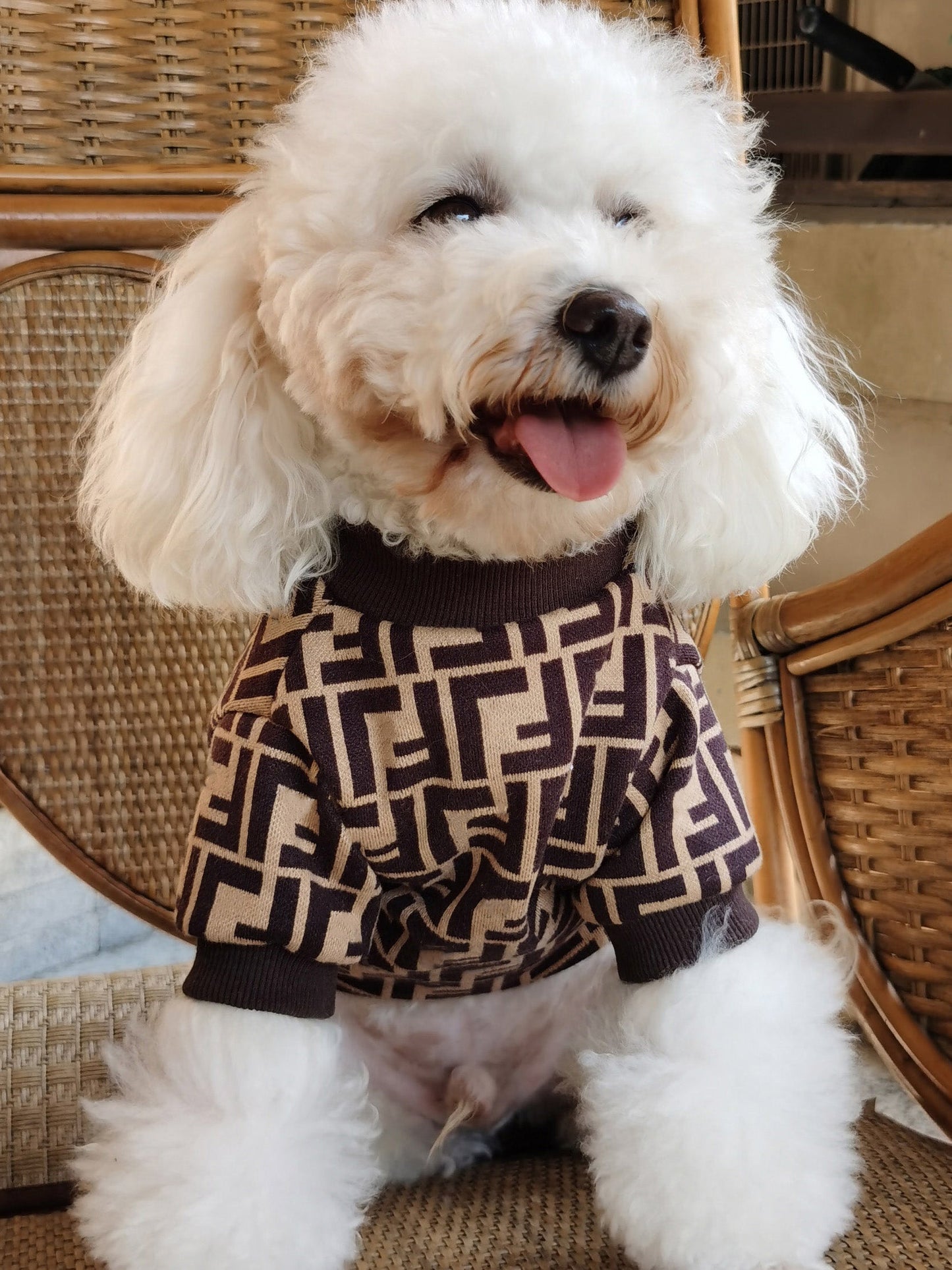 Big Dog Frosty Day Sweater