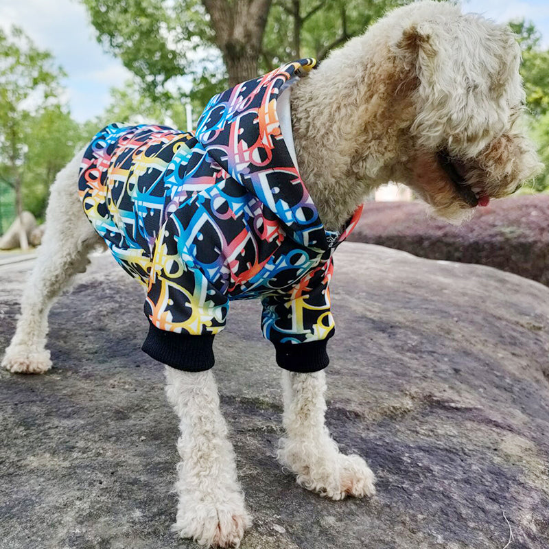 DD Classic Winter Lit Hoodie