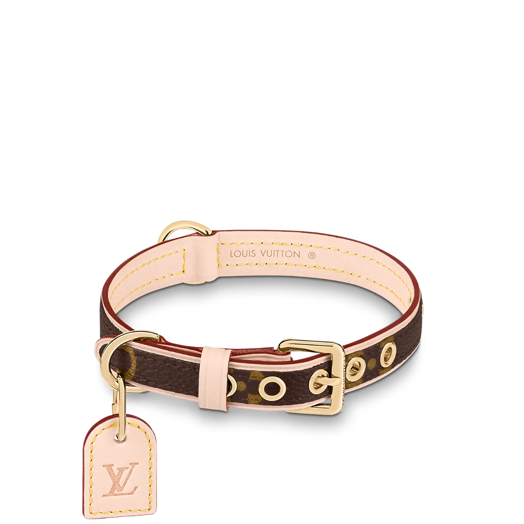Amelia Only Next Collar