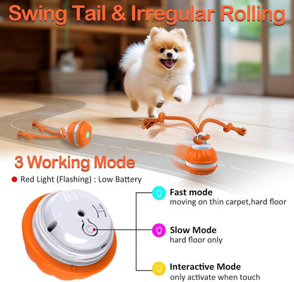 CozyDogo™ Motion Ball