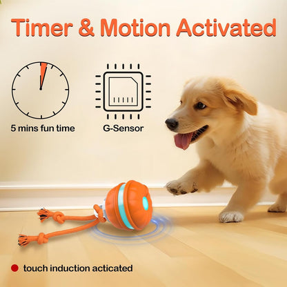 CozyDogo™ Motion Ball