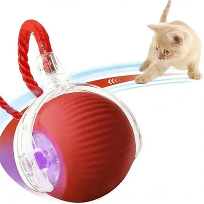 CozyDogo™ Self-Moving Ball Toy
