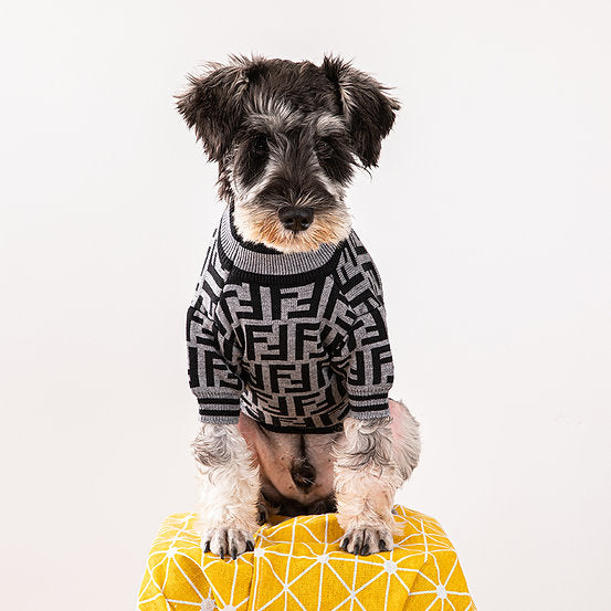 Fency Dog Rewind Sweater