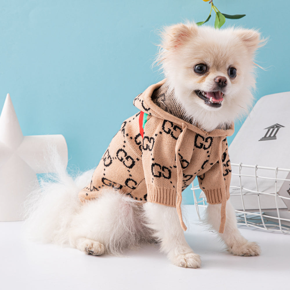 GG Doggo Hype Hoody Icy Sweater