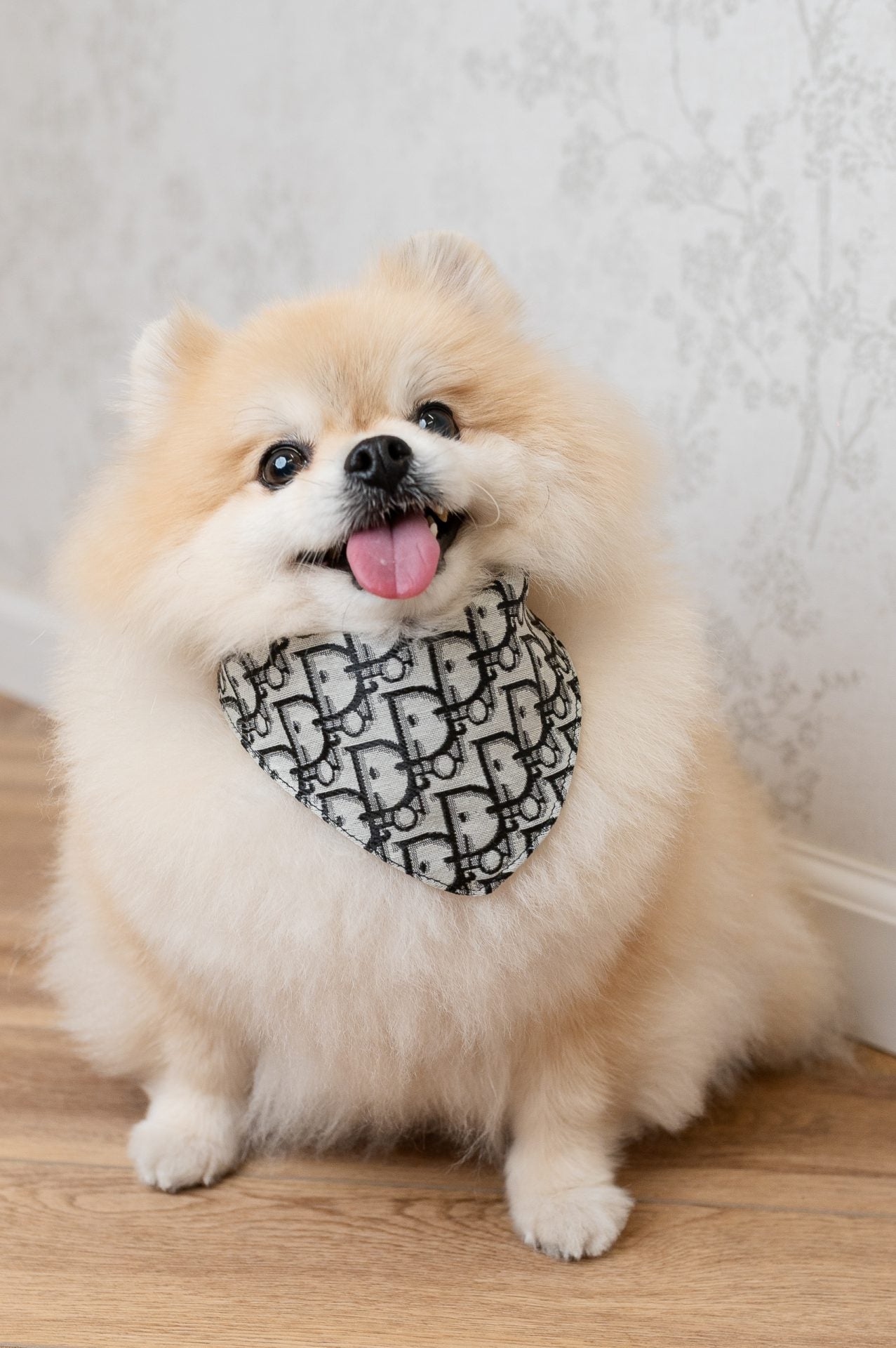 Abstract DD Scarf