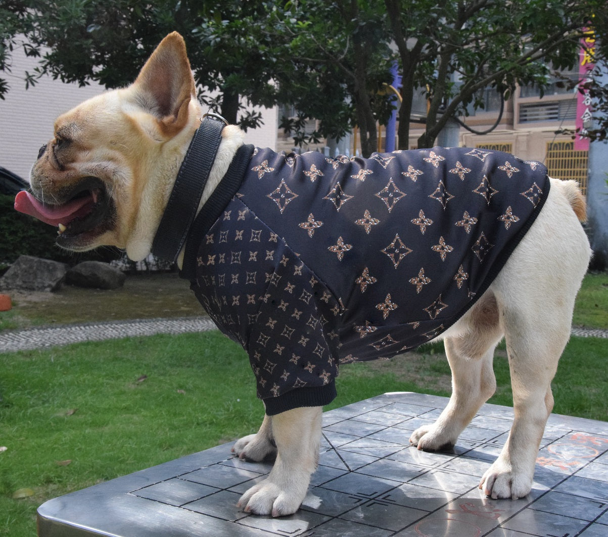 Hype Doggo  Sweater