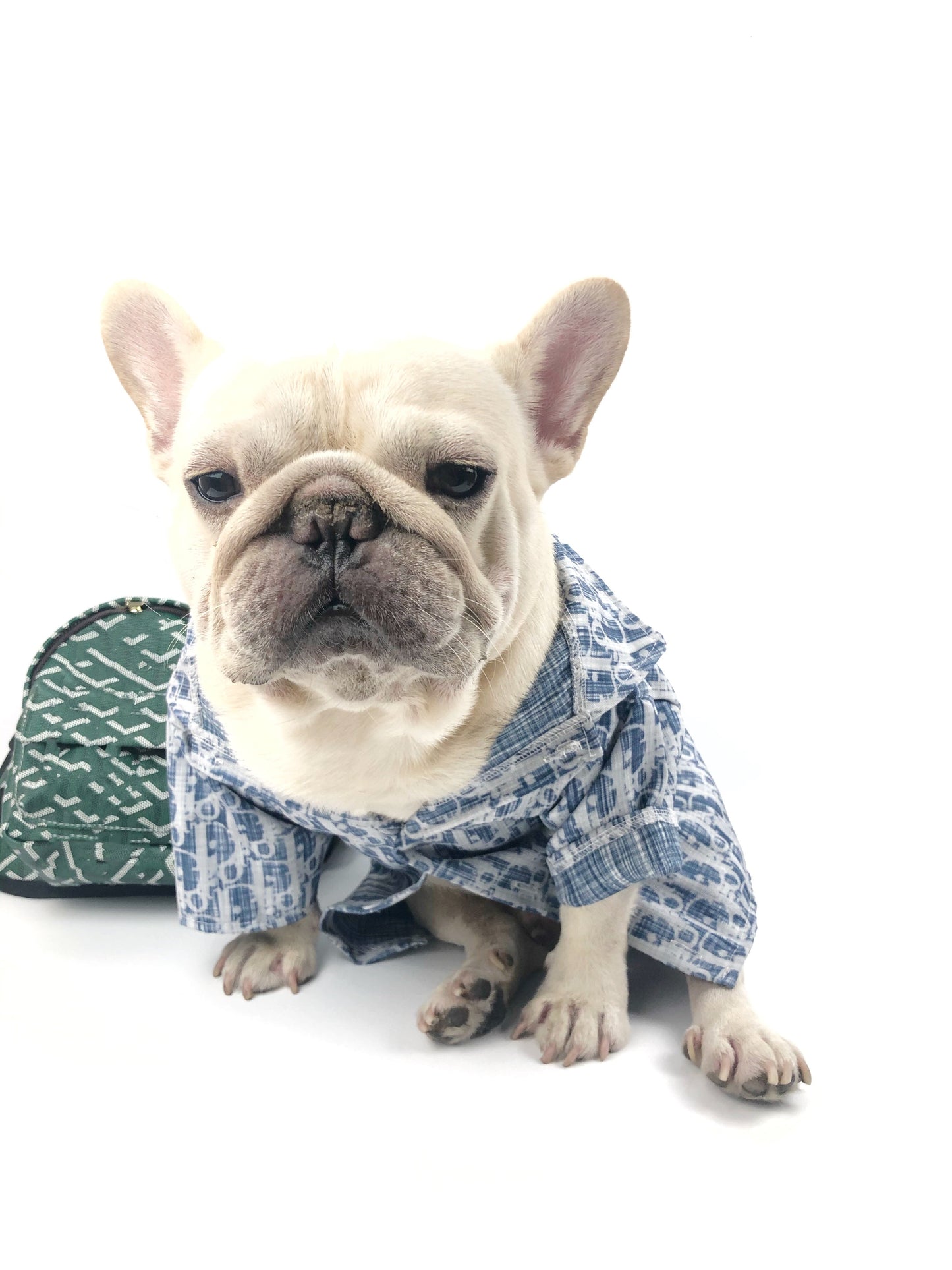 Pet Glam Bag