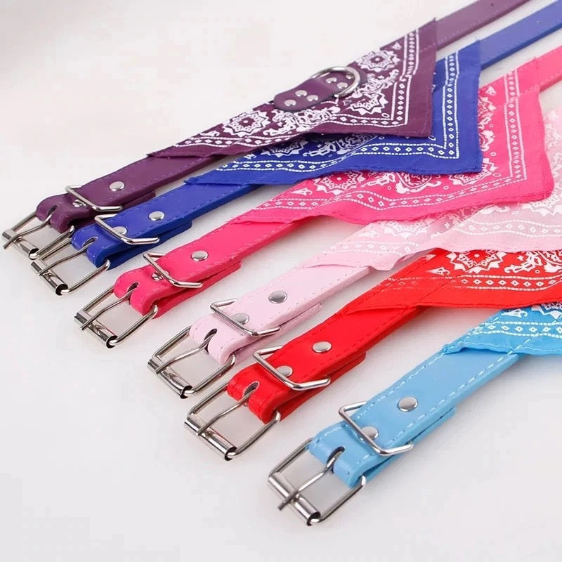 The Outlaw Throwie Bandana