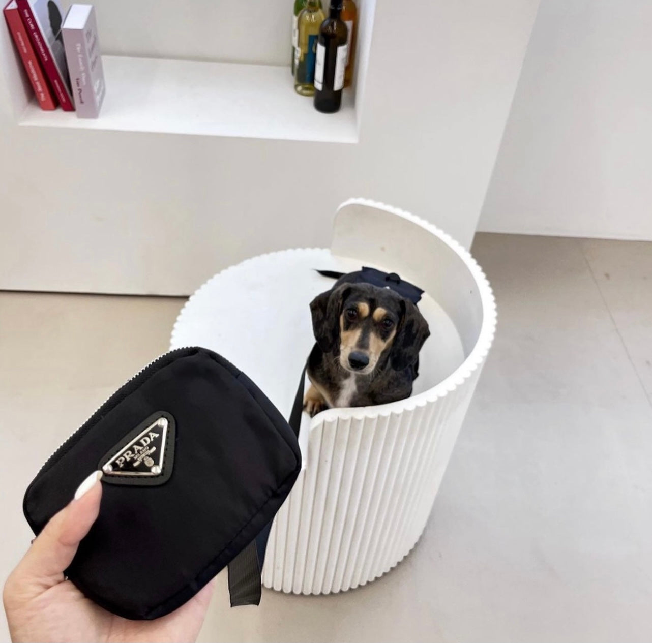 Pet Sketchy Bag