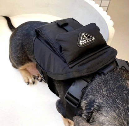 Pet Sketchy Bag