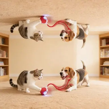 CozyDogo™ Self-Moving Ball Toy