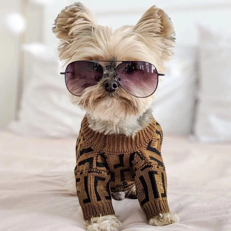 Fency Dog Rewind Sweater