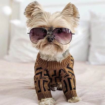 Fency Dog Rewind Sweater