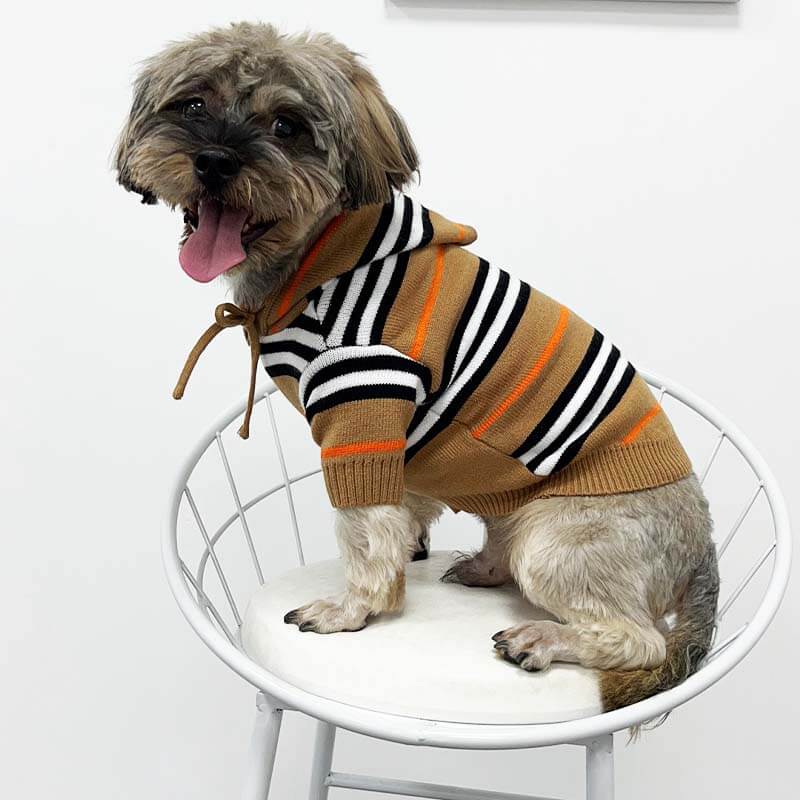 Happy Hoodie For Dogs
