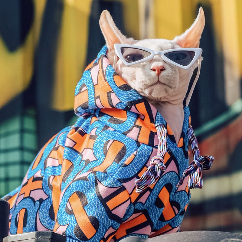 Blue Dog Lit Hoodie
