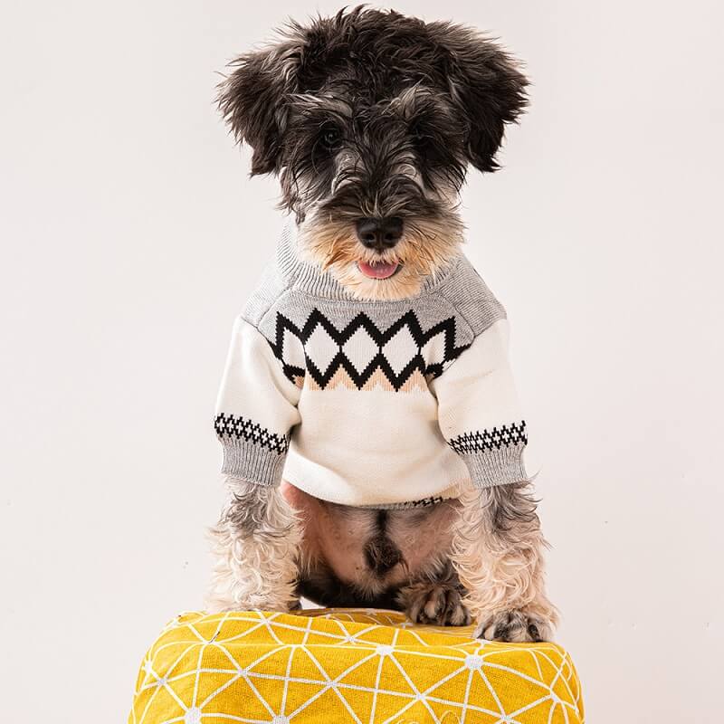 White Dog OG Jumper