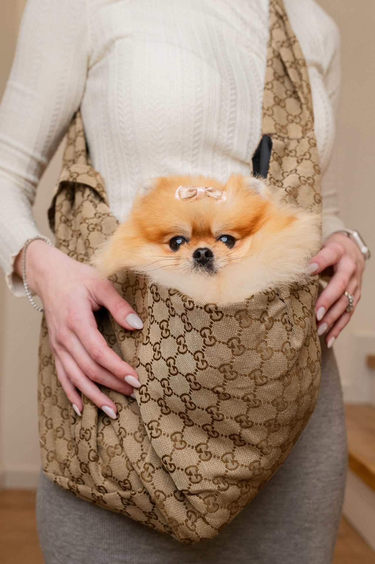 GG Dog Fly Carrier