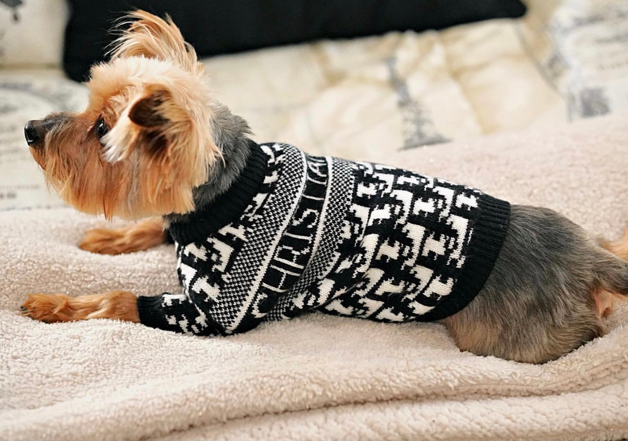 DD Black Alphabet Bubbly Sweater