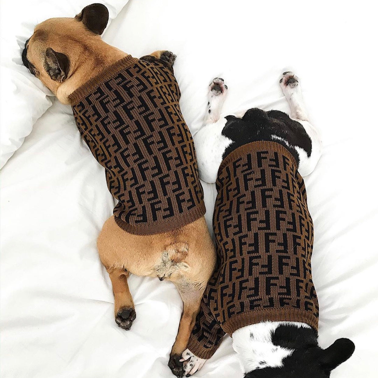 FF Fabulous Fashion Doggo Prime Sweater