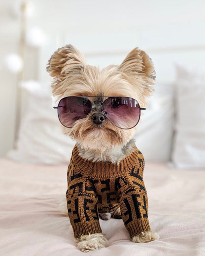 FF Fabulous Fashion Doggo Prime Sweater