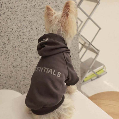 Cream Grey Designer Dog  Hoodies