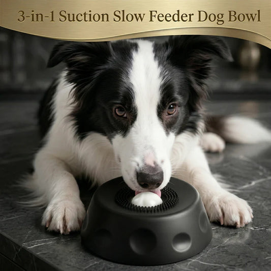 CozyDogo™ Pro Enrichment Bowl