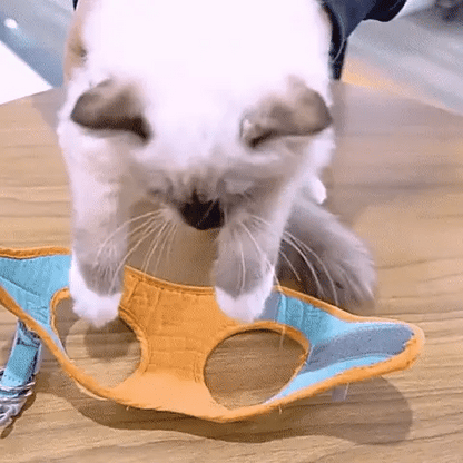 CozyDogo™ Cat Harness + Leash