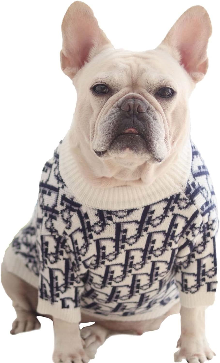 DD  Monogram Dog Lit Sweater