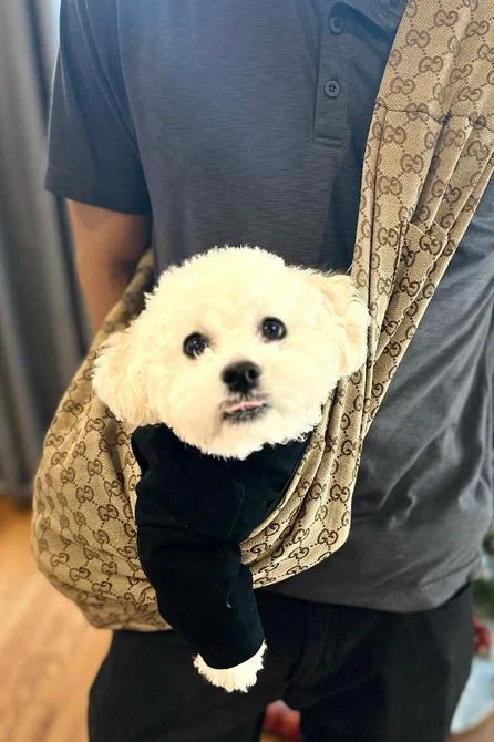 GG Dog Fly Carrier