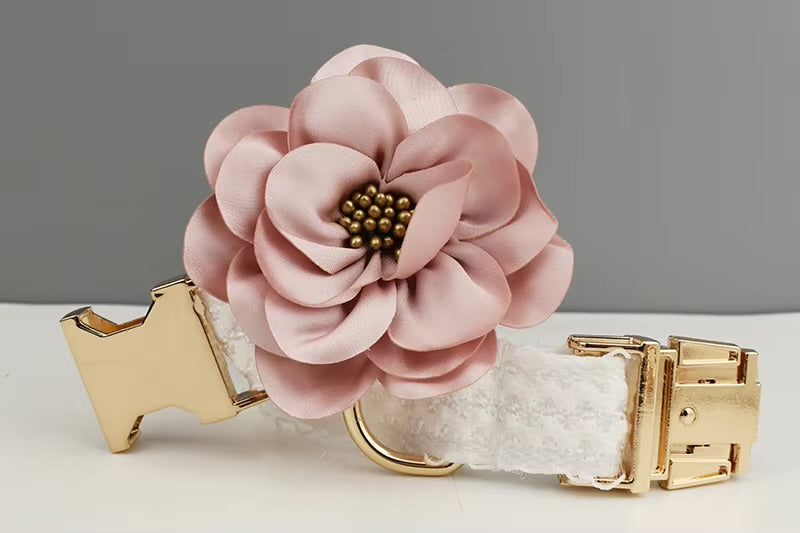 Cuty Collar & Leash piece Vintage Set