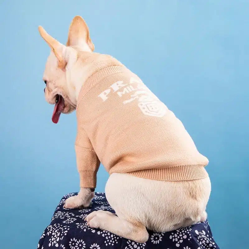 Prada Dog Lo-fi Sweater