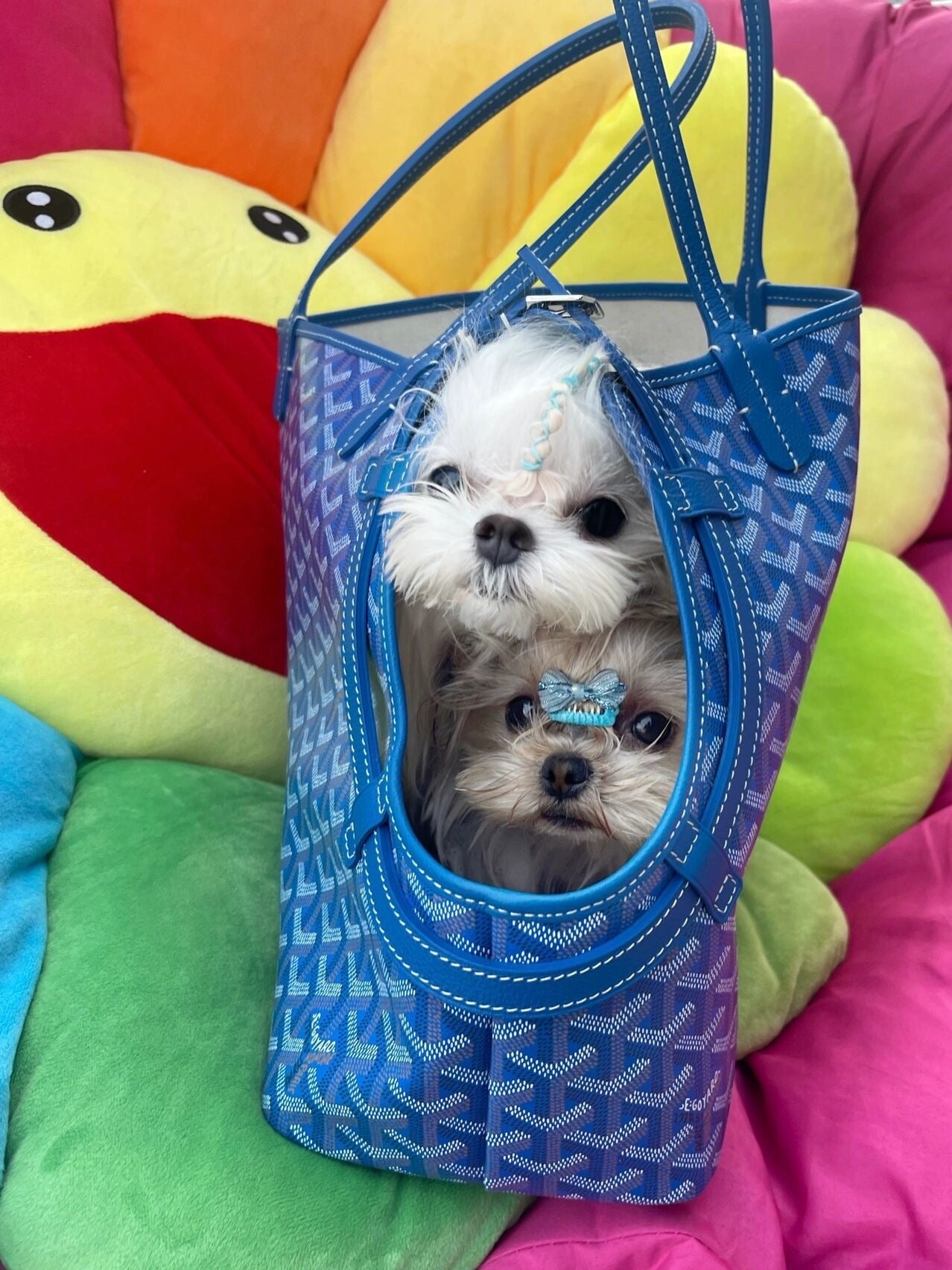 Pet Cool Bag