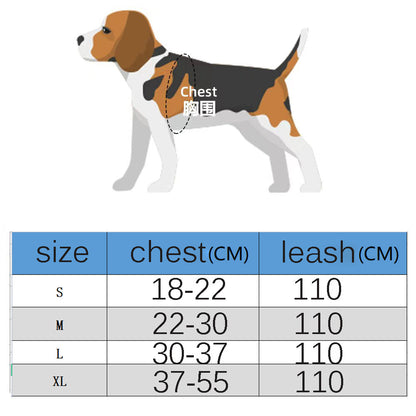 Furry Classy Harness & Leash Dope Set