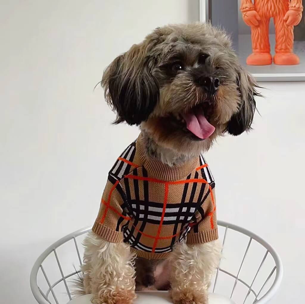Medium Dog Edgy Clothes