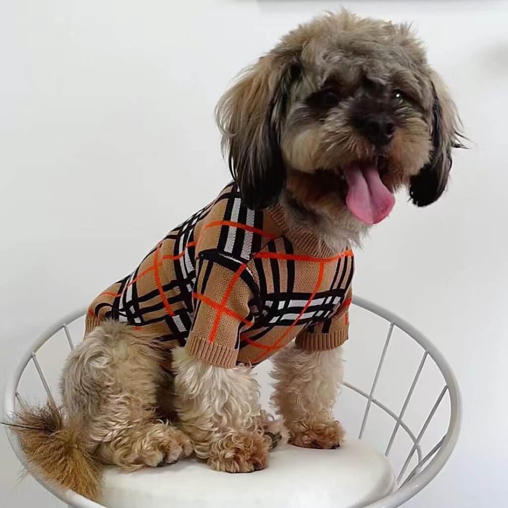 Medium Dog Edgy Clothes