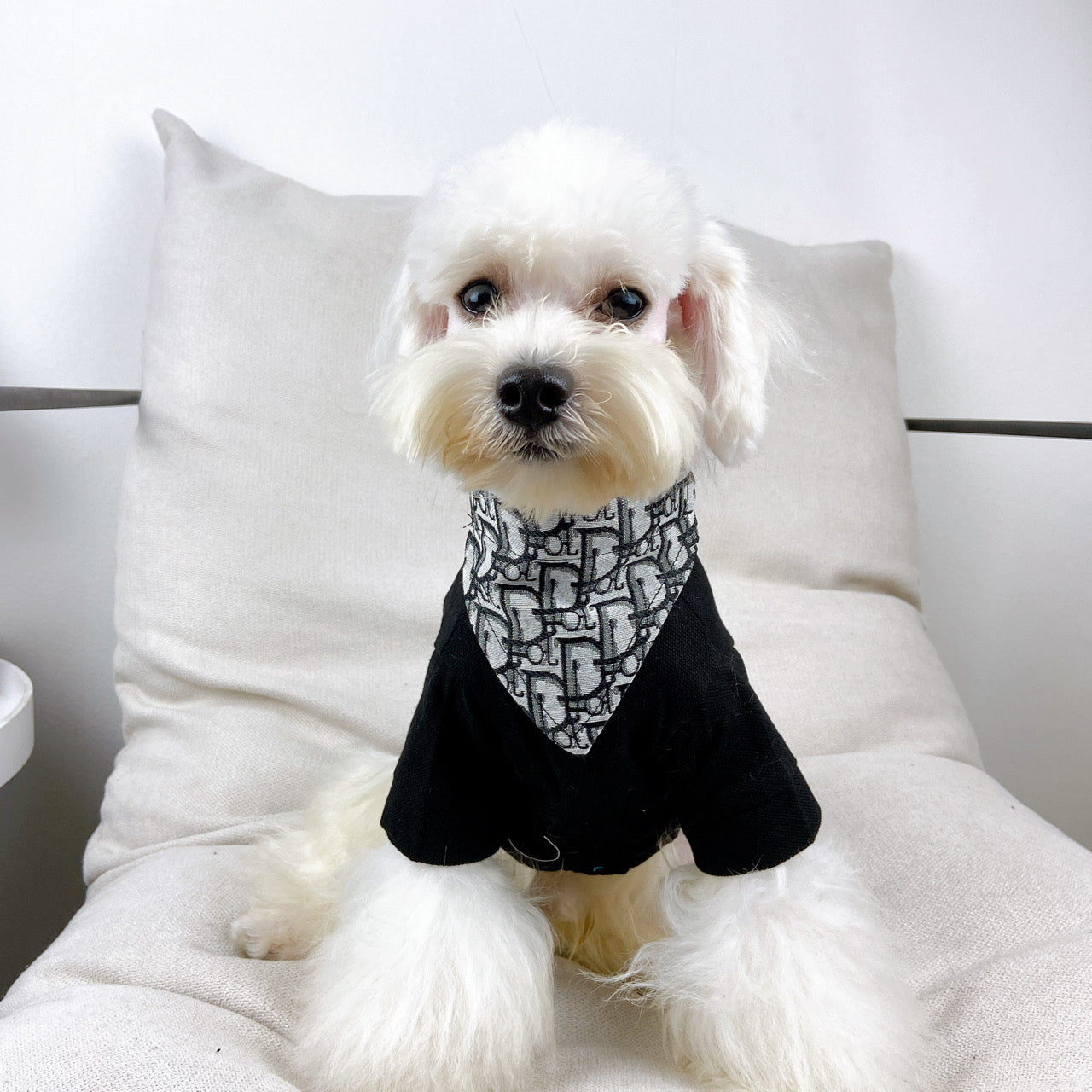 FF Classic Doggo Raw Bandana