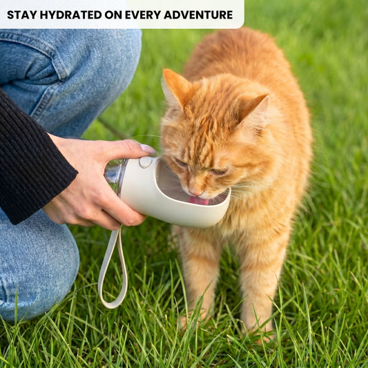 CAT WATER BOTTLE