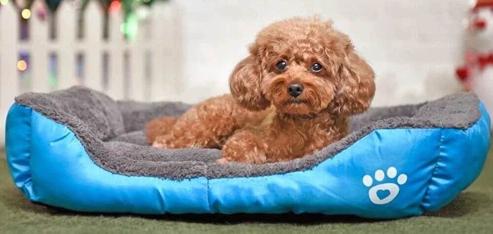 Calming Sleep Doggy Warped Bed