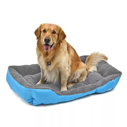 Calming Sleep Doggy Warped Bed